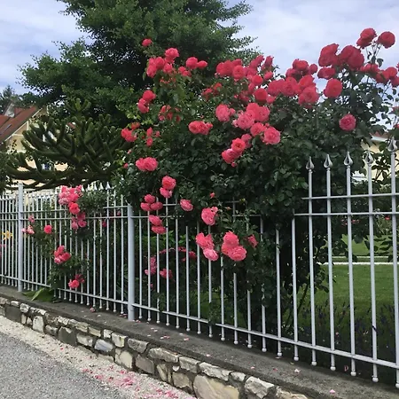 Villa Auguste-2